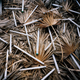Illustration for article titled Artist's Trash Exhibitions Depict A Planet Colonized By Plastic